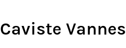 Caviste Vannes